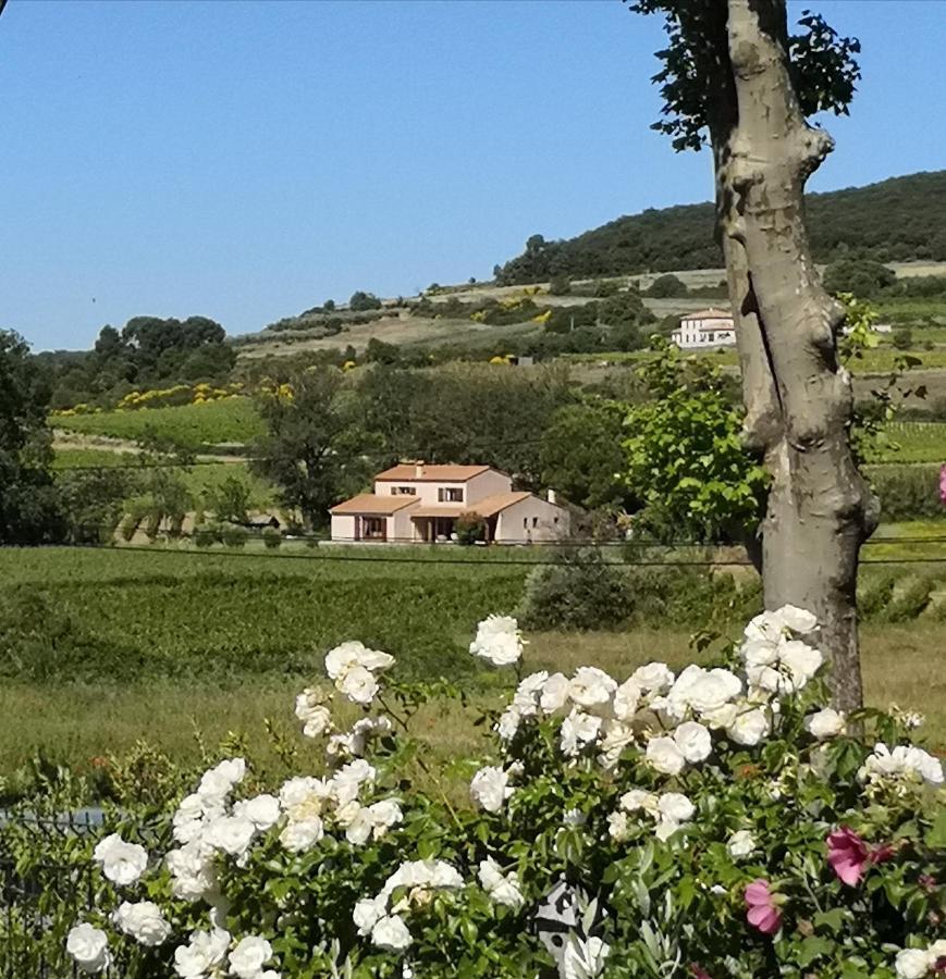 Domaine De Peilhan Roujan Экстерьер фото