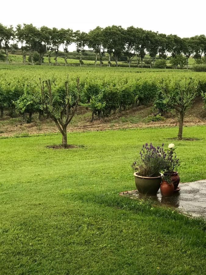 Domaine De Peilhan Roujan Экстерьер фото